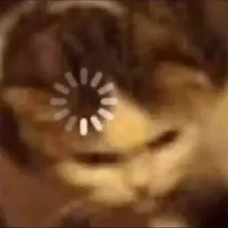 Telegram sticker 🤤 Meme by @XperuNub