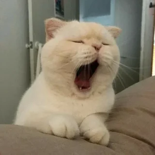 Телеграм стикер 🥱 Goha