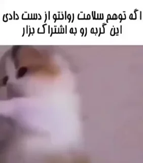 Video sticker 😂 هانا چرا منو اذیت میکنی