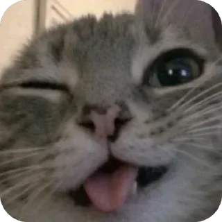 Telegram sticker 🤪 Больше стиков тут: @stikery4