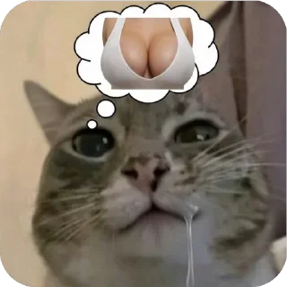 Telegram sticker 🫥 Больше стиков тут: @stikery4