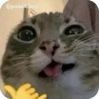 Telegram sticker 😉 Больше стиков тут: @stikery4