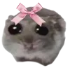 Video sticker 🐹 she ➜ @emoji1