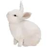 Video sticker 🐇 she ➜ @emoji1