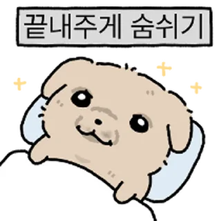 Video sticker ⭐ 깨득이 8 (꼬질버전)