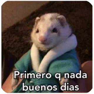 Video sticker 👄 Rejunte wsp