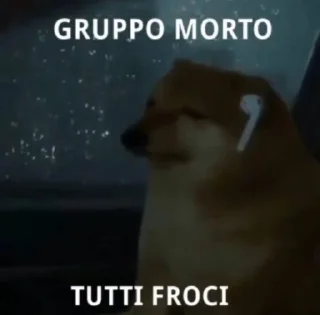 Video sticker 🌟 FORZA NAPOLI :: @fStikBot
