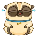 Sticker 😂 Penny Pug