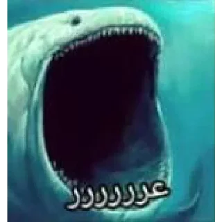 Telegram sticker 😐 ماریا، پک دالگ خیز.