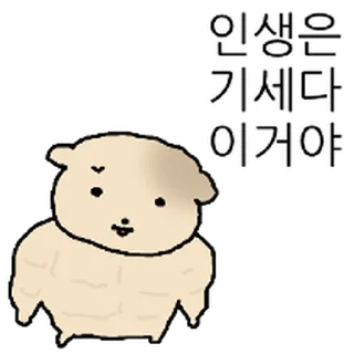 Video sticker ⭐ 대충살자 황토강아디