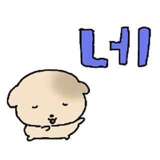 Video sticker ⭐ 대충살자 황토강아디