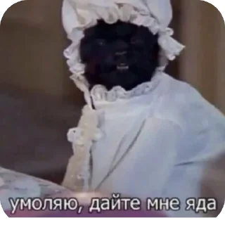Telegram sticker 🫥 На все случаи жизни