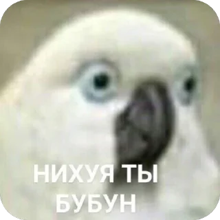 Telegram sticker 🫥 На все случаи жизни