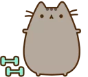 Video sticker 💪 Pusheen