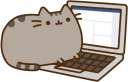 Video sticker 💻 Pusheen