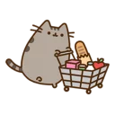 Telegram sticker 💳 Pusheen