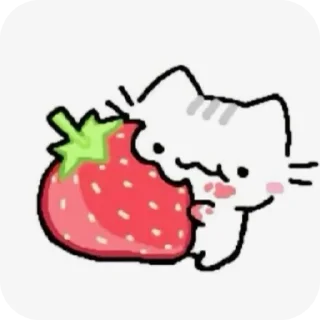 Telegram sticker 🧸 Котейка