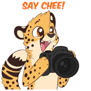 Video sticker 📸 Cheetahs by Pulexart.com
