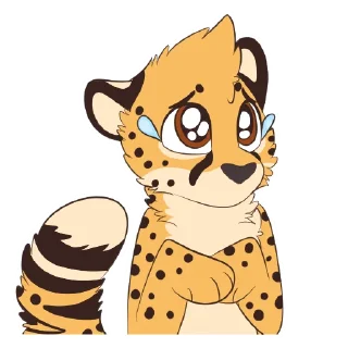 Video sticker 😩 Cheetahs by Pulexart.com