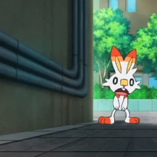Video sticker 😮 Scorbunny 2