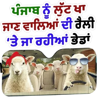 Video sticker 🐏 ਗੰਦੀ ਰਾਜਨੀਤੀ