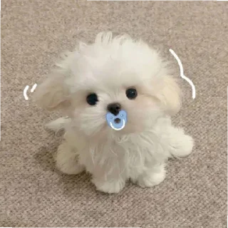 Video sticker 🥺 ddawn