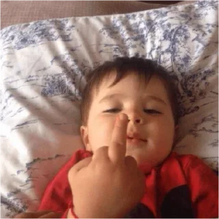 Telegram sticker 🖕 ddawn