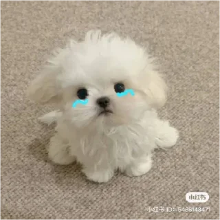 Telegram sticker 😞 ddawn