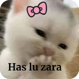 Telegram sticker 🤲 Faduu Pack 🤣 @cute_stickers_gi :: @fStikBot