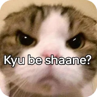 Telegram sticker 🤲 Faduu Pack 🤣 @cute_stickers_gi :: @fStikBot