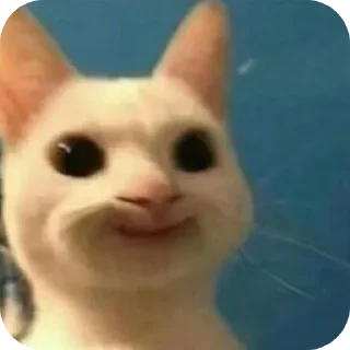 Telegram sticker 🐱 IDK،