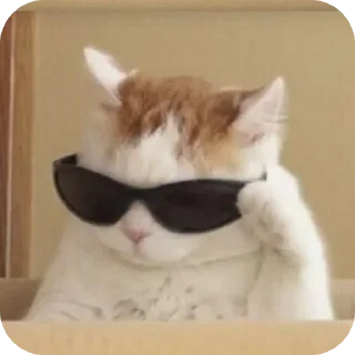 Telegram sticker 🐱 IDK،