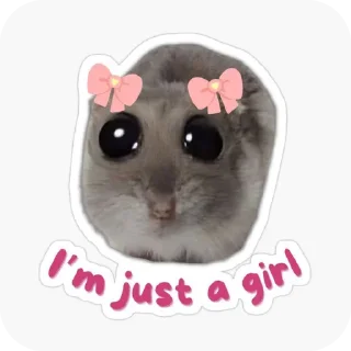 Video sticker 🐱 IDK،