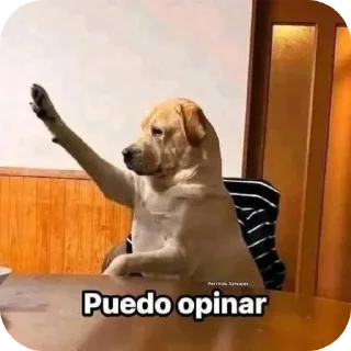 Telegram sticker 🐶 Vane's