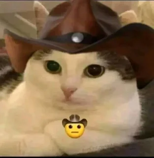 Телеграм стикер 🤠 Random varios @WaifuPapers