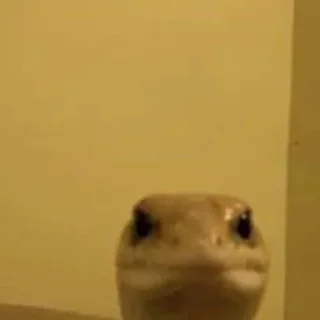 Телеграм стикер 😐 Random varios @WaifuPapers