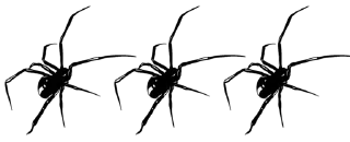 Video sticker 💀 #404 ; @FAV0RY