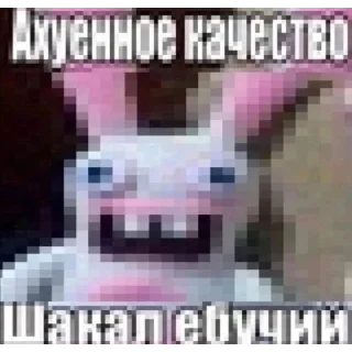 Video sticker 👾 хуй