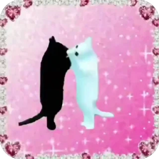 Video sticker 🐈 @sin4nw