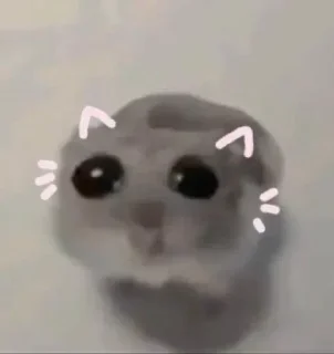 Sticker 🥺 @sin4nw