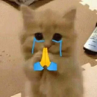 Video sticker 🌼 @sin4nw