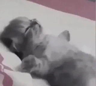 Telegram sticker 😉 @sin4nw