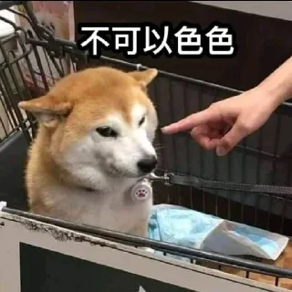 Video sticker 🤤 𝕓𝕚𝕦 𝕓𝕚𝕦 ⁀➷🤍营业🈺中