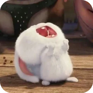 Video sticker 👄 Snowball Rabbit by @SEDONABLUE :: @fStikBot