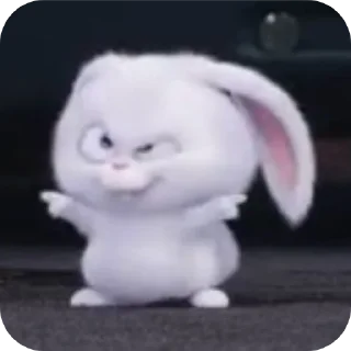 Video sticker 🐱 Snowball Rabbit by @SEDONABLUE :: @fStikBot
