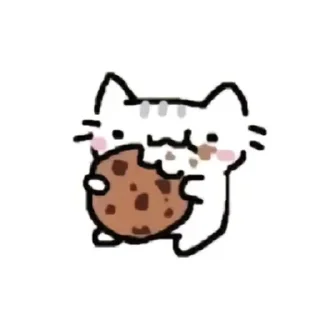 Video sticker 🍪 ⌗ 𓈒 ⊹kitten named Sonulik✦° 🫂