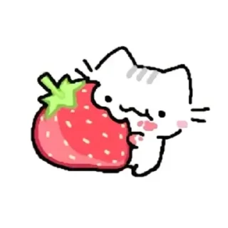 Video sticker 🍓 ⌗ 𓈒 ⊹kitten named Sonulik✦° 🫂