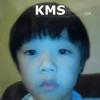 Telegram stiker 📍 kim sunwoo   @dobbyland