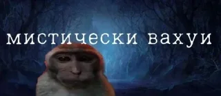 Video sticker 🙀 Что делать