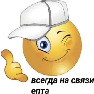 Telegram sticker 📞 Что делать
